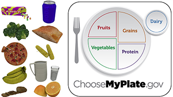 MyPlate Foods